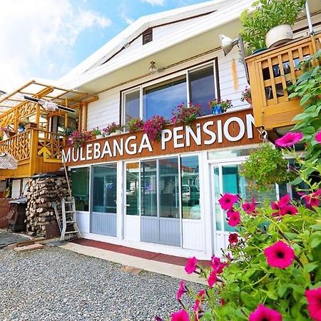 Osakae Anteo Mulraebang-A Pension Yangyang Exterior photo